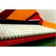 Matériels de triage alimentaire Bijlsma Hercules avec rouleaux diabolo - Largeur 1.100 mm - Dr 110-6 VS_2