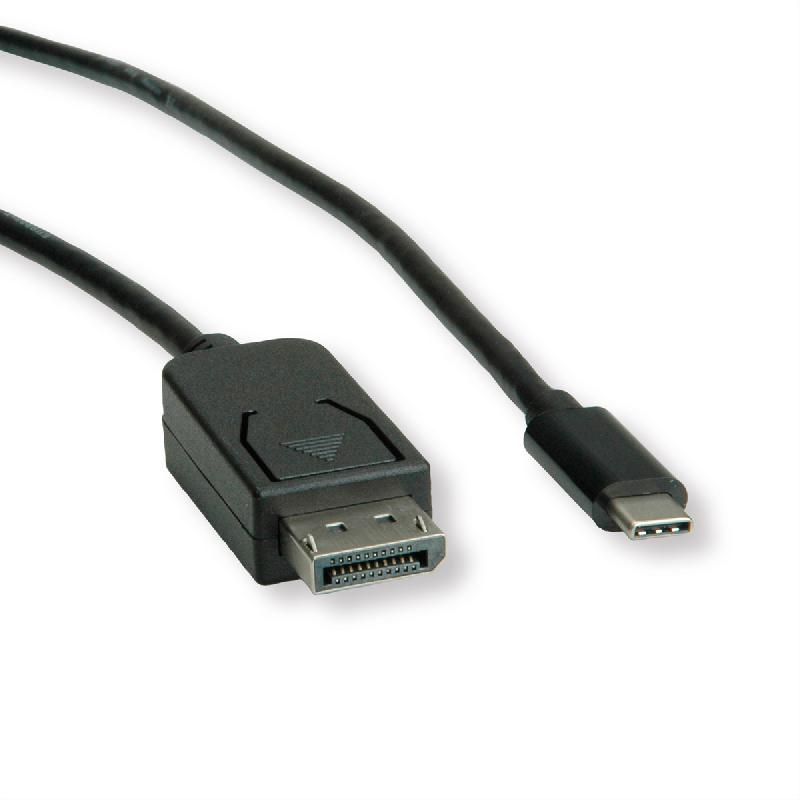 ROLINE Câble adaptateur type C - DisplayPort, v1.2, M/M, 1 m_2
