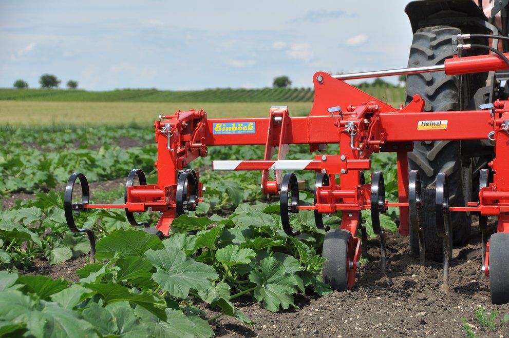 Bineuse agricole CHOPSTAR 10-150 - Einboeck - Inter-rangs jusqu'à 150 cm avec dent vibro_2