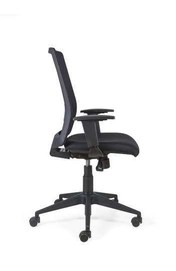 Siège ergonomique Olympe - accoudoirs 2D, mécanisme synchrone, appui lombaire réglable_2