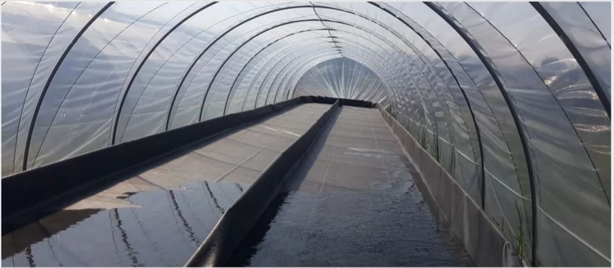 Serre tunnel démontable pour rotation des cultures