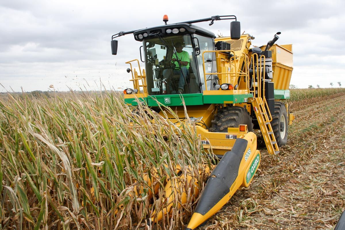 Arracheuse oxbo 2460 - oxbocorp - longueur sans tête 8.53 m - largeur 3.43 m_3