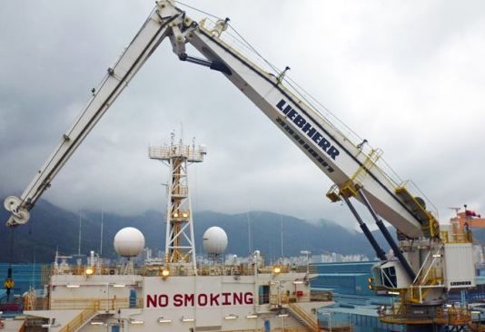 RL-K 2600 - RL-K 7500 grues portuaires à flèche articulée Liebherr - capacité de levage 50 à 250 t - compactes et flexibles_2