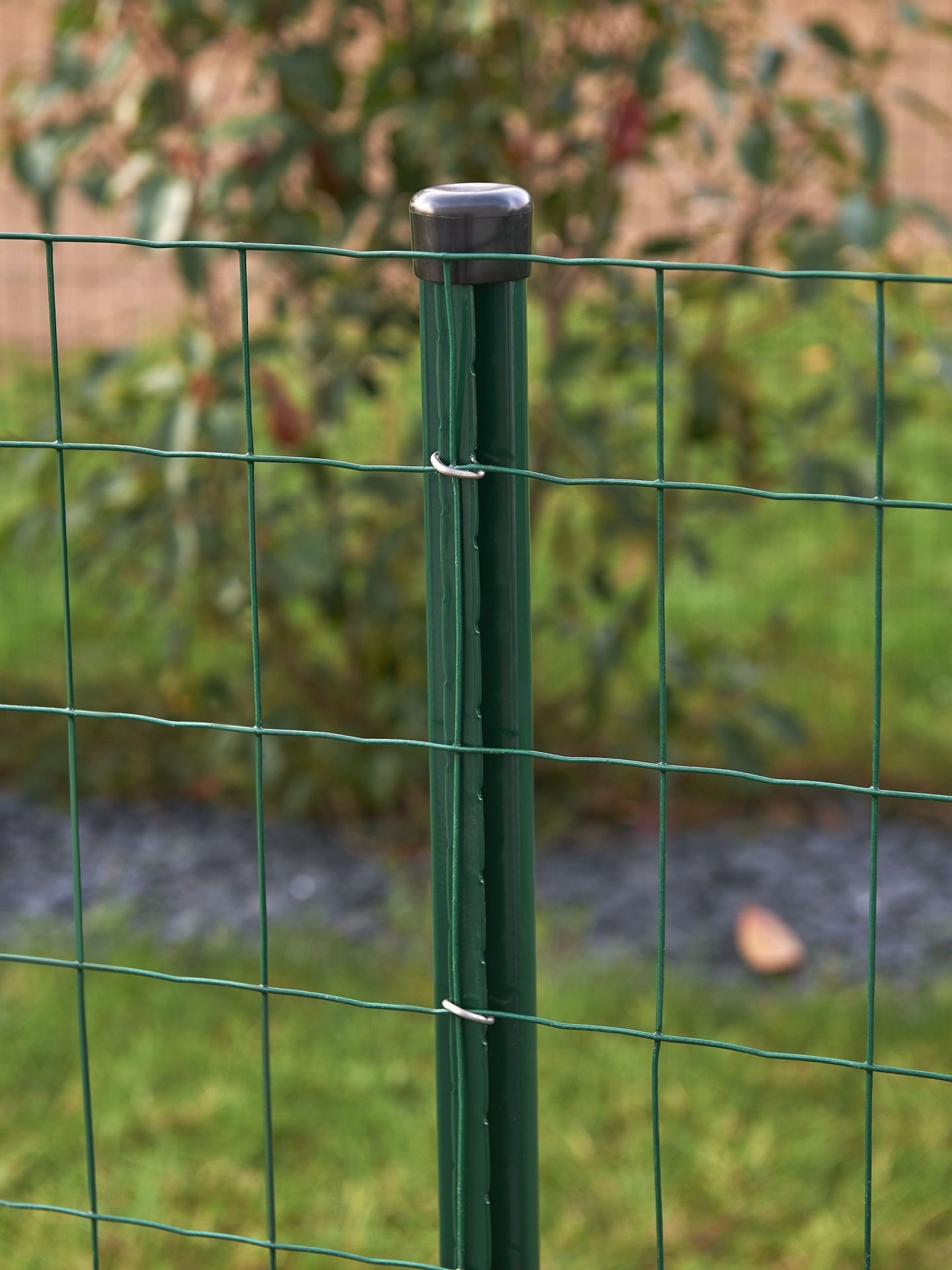 Clôture en rouleaux AXIAL® Maille 100 / 75 / 50_2