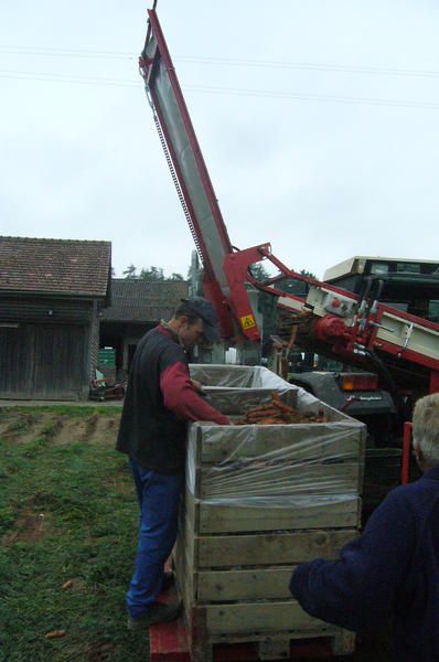 Récolteuse de carotte p3r - simon_2