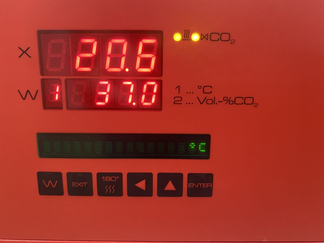 Incubateur à CO2 de laboratoire pharmaceutique d'occasion - Binder CB 150 - 150L - Référence P2209-1888_2