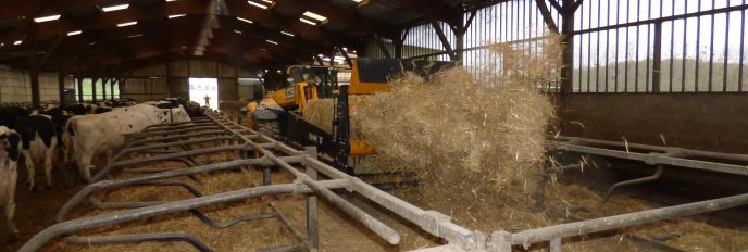 Pailleuse agricole pour balles cubiques - emily - paillage jusqu'à 8 m_2