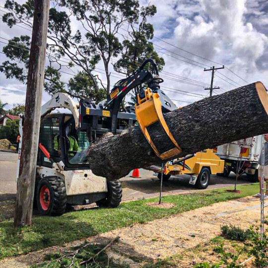 Pince de débardage Scorpion Standard Uniforest_2