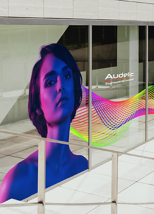 Imprimante UV grand format ROLAND LG-300_2