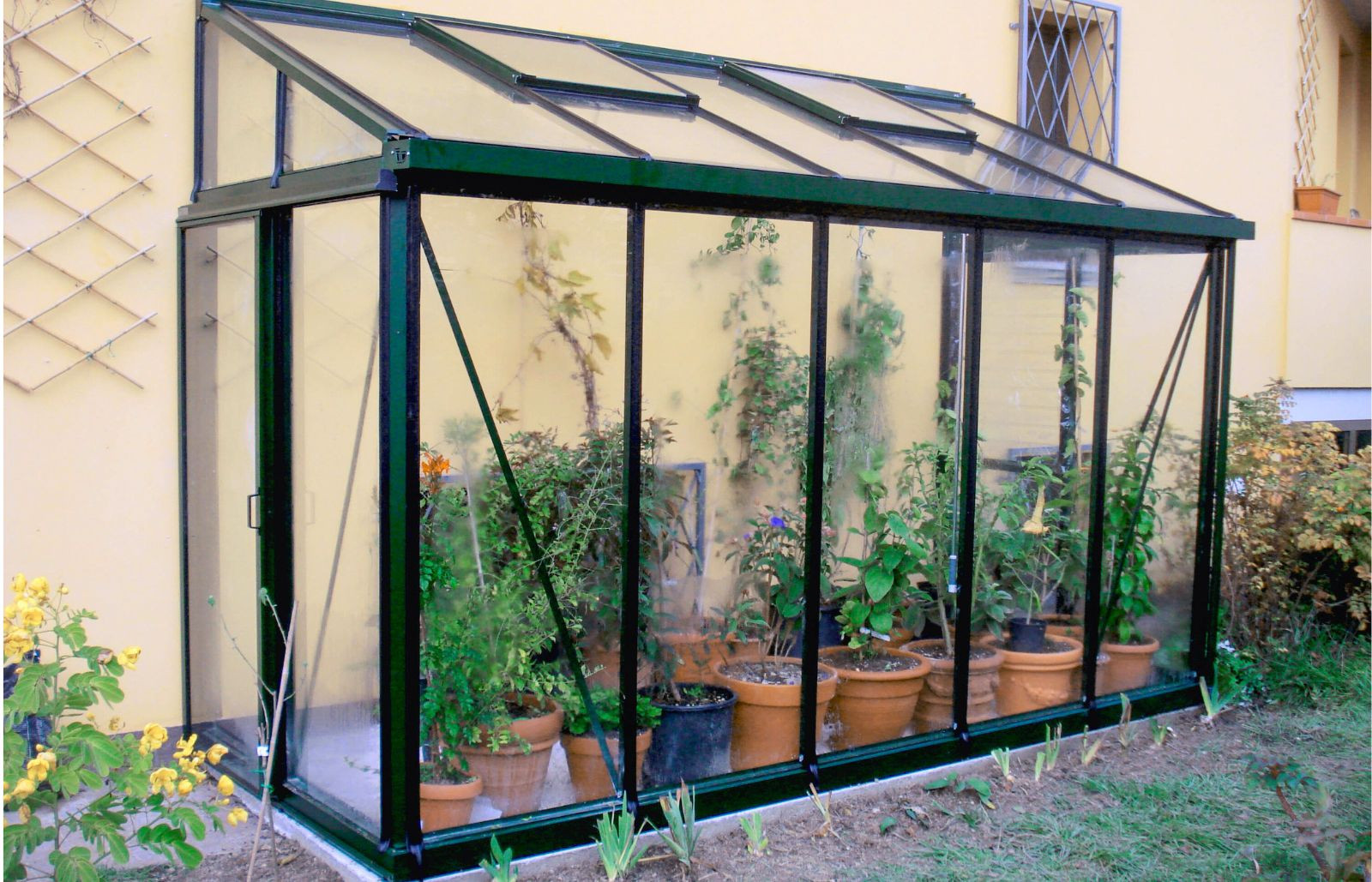 Serre en verre adossée adapté aux petits patios qu'aux grands jardins - Arcadia_2