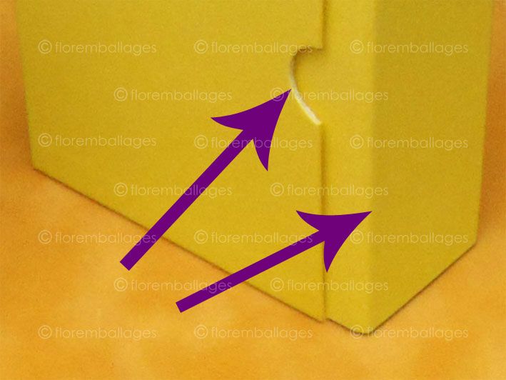 Coffret sur-mesure - boîte fourreau en carton - boîte cadeau - FLO R emballages_2