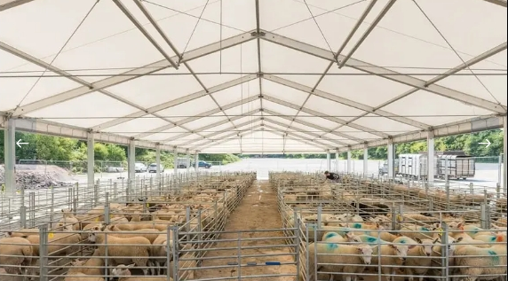 Hangar agricole modulaire - stockage, élevage et protection des récoltes et équipements - HTS TENTIQ GmbH_2