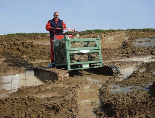 Tp2000 chariot élévateur - hinowa s.P.A - 2 tonnes_2