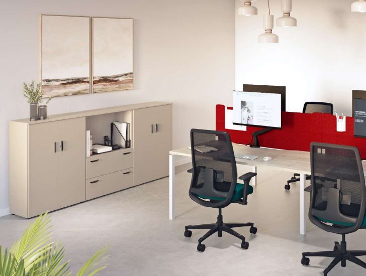 Armoire de rangement en bois - bureau - portes battantes - différentes tailles et finitions_2