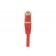 Cordon rj45 catégorie 6 f/utp rouge - 10 m 852641_2