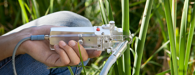 Mini PAM II - Fluorimètre de chlorophylle compact, puissant et robuste - Portable avec LED modernes et analyse avancée_2