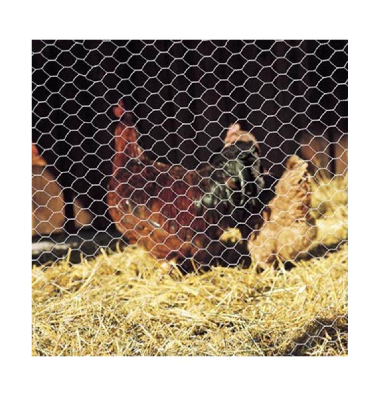 Grillage à poule TTG100 - triple torsion, mailles hexagonales, garantie 10 ans contre la rouille_2