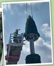 Pylônes arbres accès extérieur Kupressus - 12 à 24m - Tronc en résine marron - 6 antennes panneaux max_2