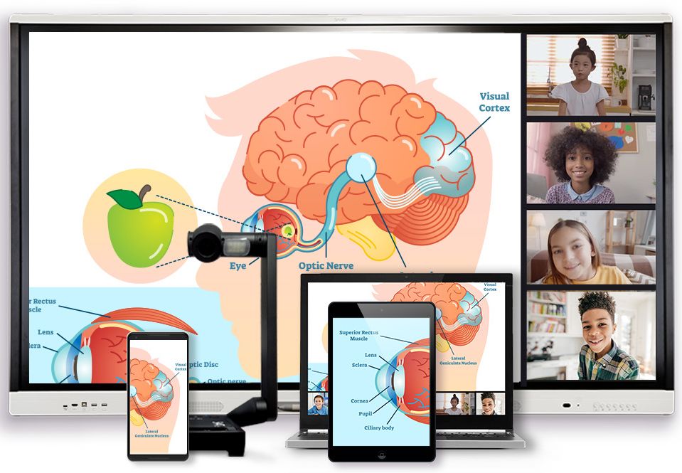 Écran interactif infrarouge SMART Board® MX Series - 55