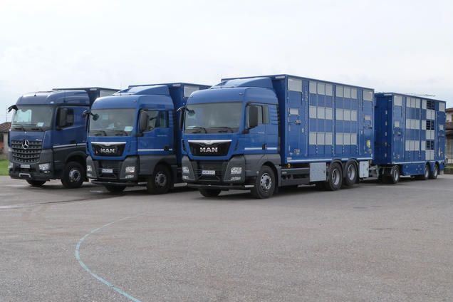 Rba31 - remorque bétaillère - carrozzeria pezzaioli - essieux jumelés fixes de 10000 kg_2