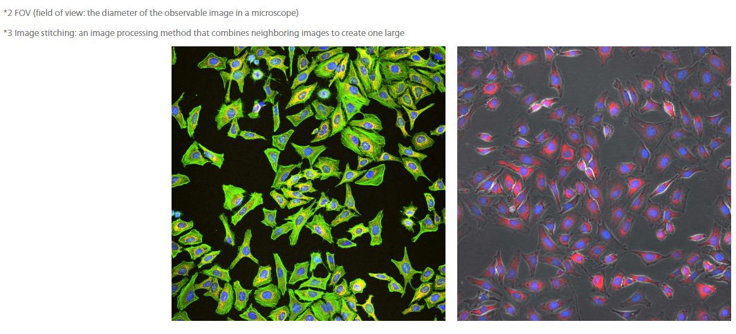 Objectifs - Série S Plan Fluor LWD - haute résolution et grand champ de vision pour microscopes biologiques_2