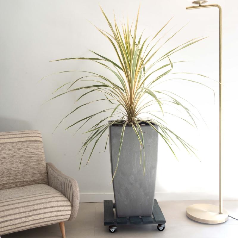 Roule-plantes en bois carré anthracite Basics - dimensions 37,5 x 37,5 cm_2