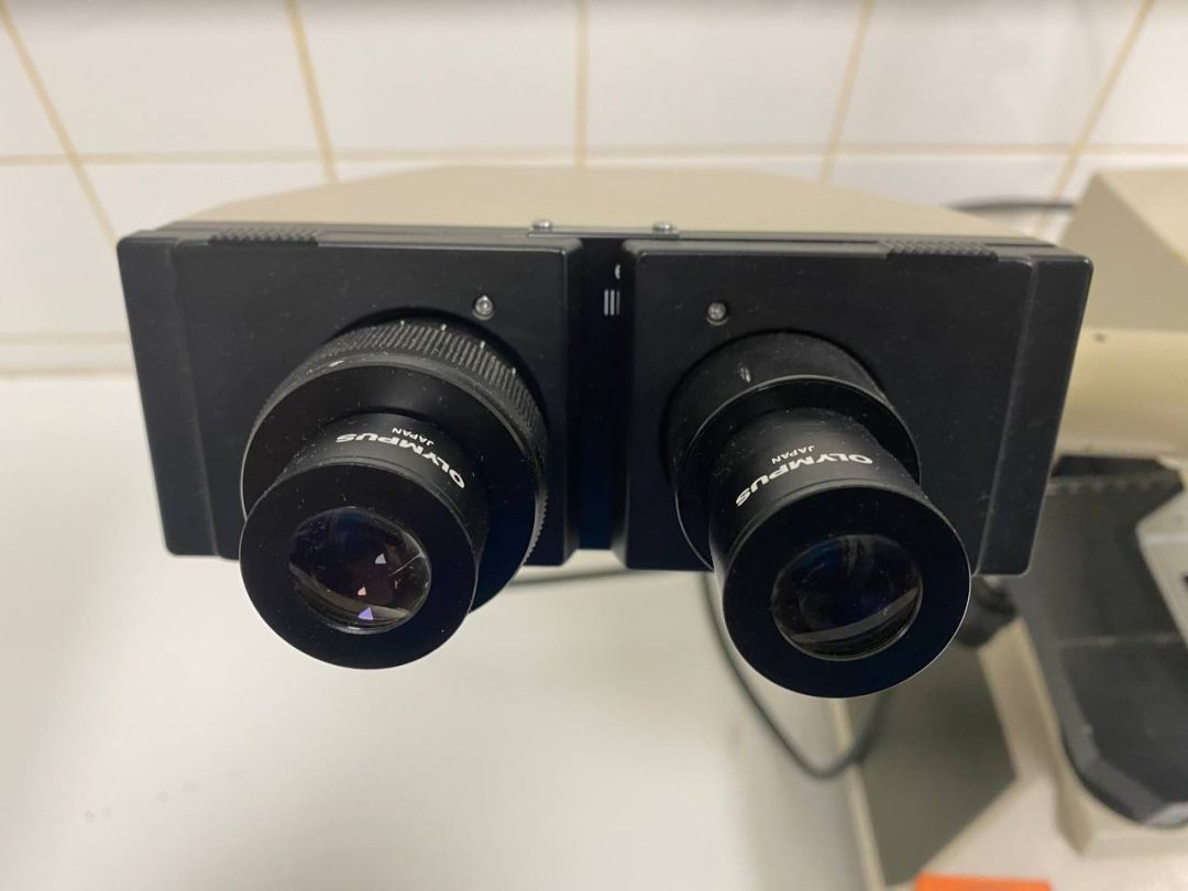 Microscope de laboratoire d'occasion BH-2 Olympus - Référence P2212-1958, avec 4 lentilles incluses_2