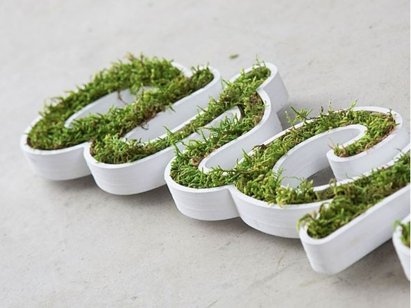 Lettres végétales durables et uniques - Signalétique personnalisée PANO Nice Ouest_2