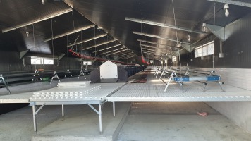 Bâtiment d'élevage pour poules pondeuses_2