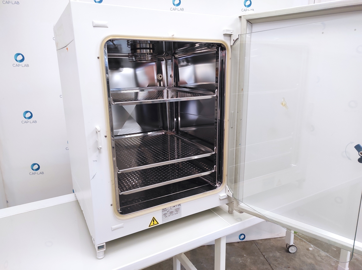 Incubateur à CO2 d'occasion de laboratoire de recherche - Thermofisher BB15_2