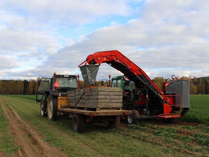 Arracheuse par préhension P3K Profi - Dewulf BV - élévateur large en 3 pièces - puissance minimale 80 HP_2