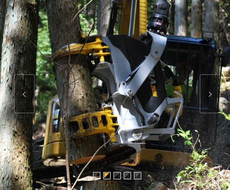 Tetes d'abatteuses kesla 20sh_2