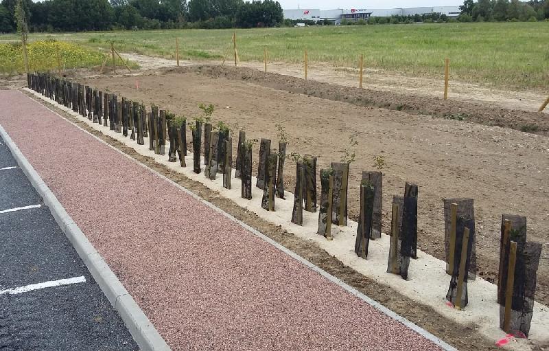 Toile de paillage écologique PLA-chanvre - 50m, 0,56m - 450g/m² - Fabrication française_2