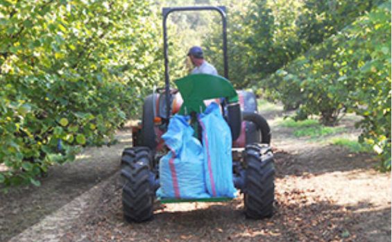 Récolteuse mécanique MEK 1800 - Facma S.R.L - capacité de récolte 350 kg/h - pour fruits en coquille avec nettoyage intégré_2