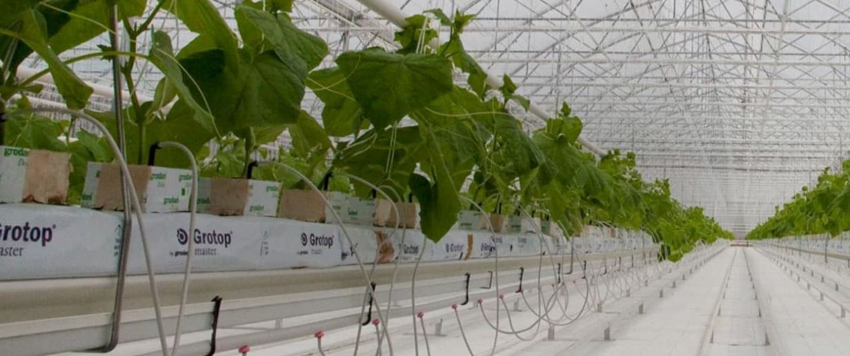 Serre chapelle - richel group - de 6.40 à 16 m_2