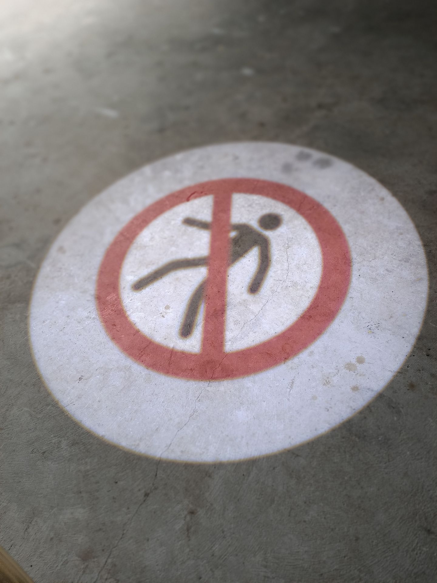 Pictogramme signalétique par projection lumineuse - Projecteur LED avec lentille gravée au laser - Étanche IP65 jusqu’à -25°C_2