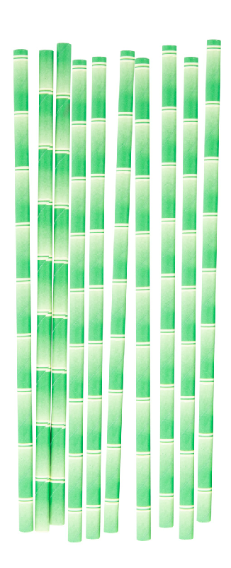 Set de pailles en papier motif bambou - Lot de 10 avec boîte kraft_2