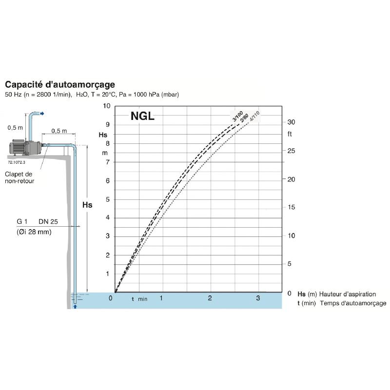 Pompe auto-amorçante Calpeda NGLM3100 - Fonte 0,65 kW - Débit 3,2 m³/h - 220V - Pompe de surface pour arrosage et alimentation en eau_2