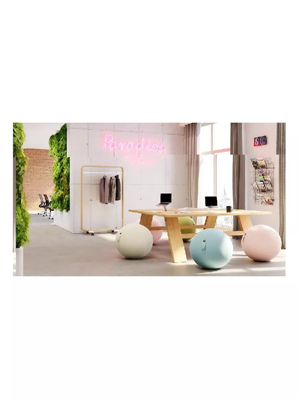 Ballon ergonomique ERGOBALL beige_2