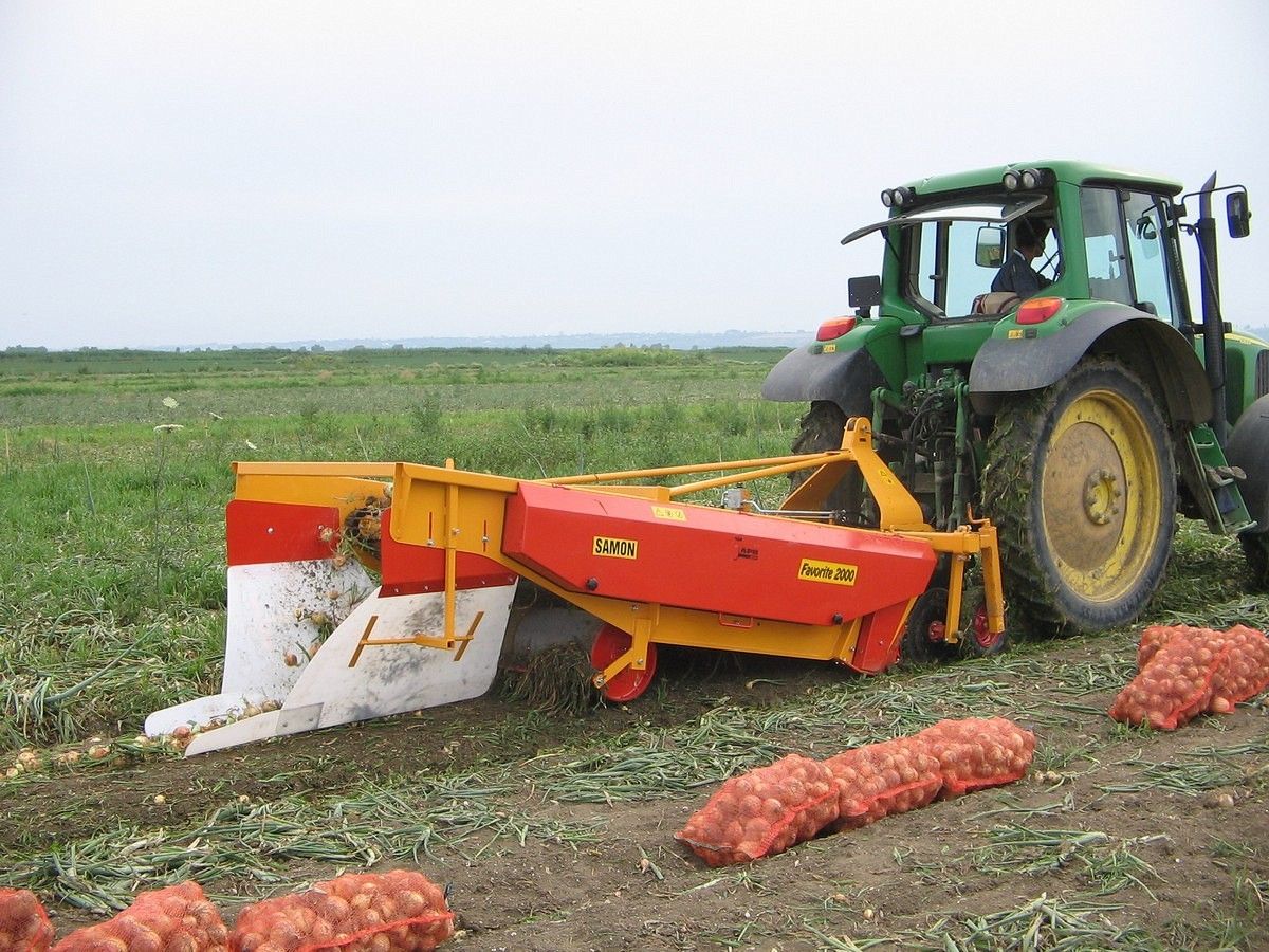 Arracheuse d'oignon équipée de batteurs à réglage mécanique