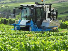 Cueilloir 54 h machine à vendanger - bobard_2