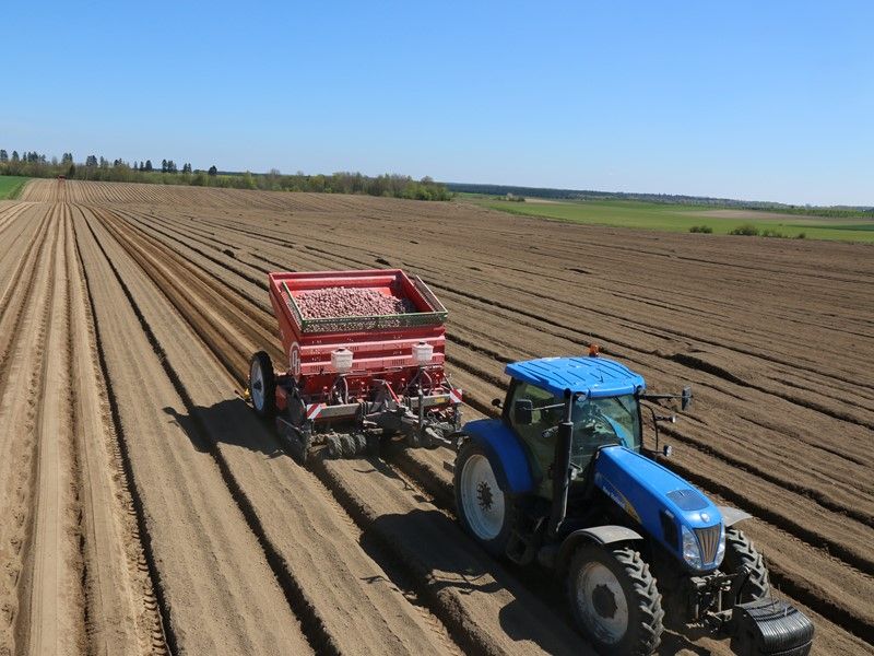 Miedema Structural 4000 - Planteuse à courroies 4 rangs - Dewulf BV - Capacité de trémie 3000 à 4000 kg_2