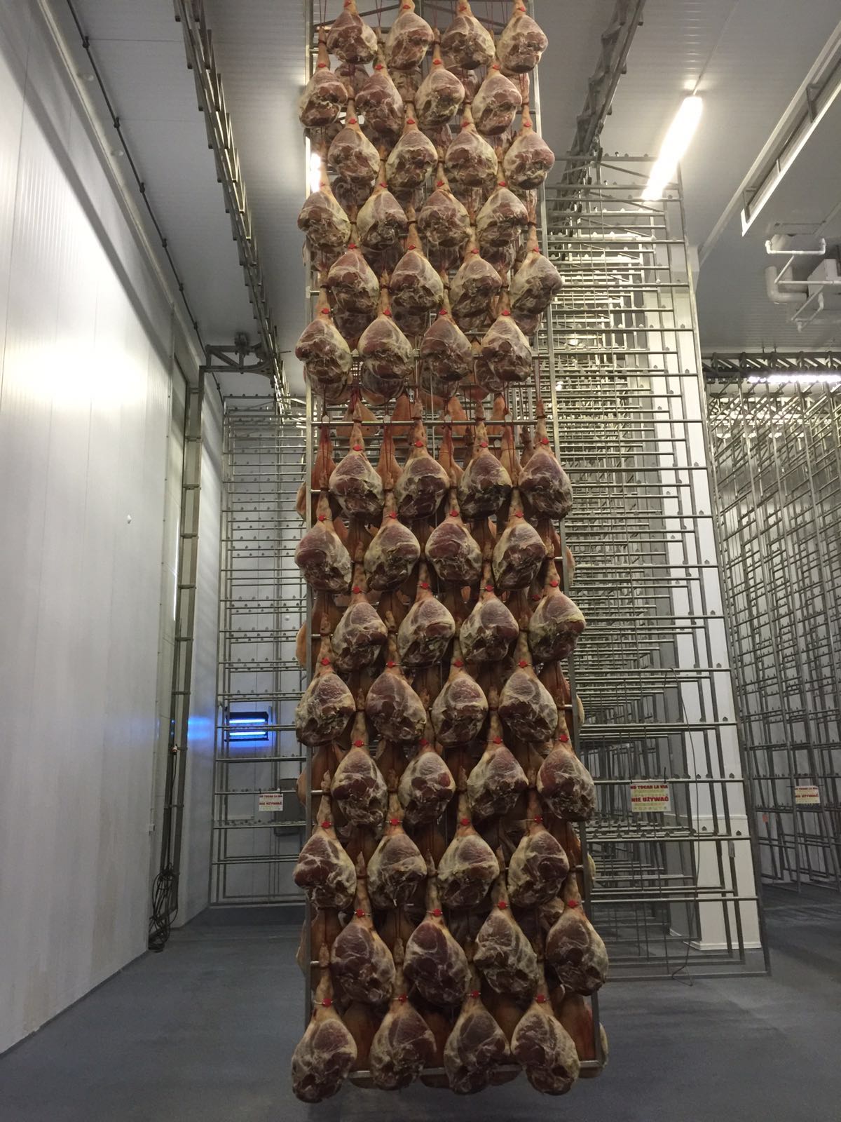 Scellé de sécurité en plastique - Accroche-jambon pour patte de jambon - Precintia - Nylon résistant et réutilisable_2