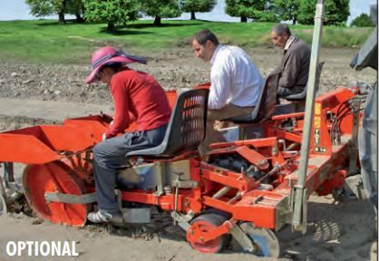 Foxdrive R14 - planteuse Checchi & Magli - distance entre les lignes 50 à 90 cm - idéale pour poireaux et oignons_2