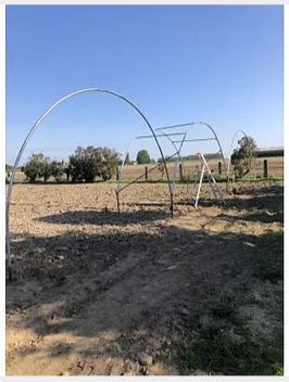 Serre tunnel professionnelle - Serres Natural - Largeur 5m - Hauteur 3.60m - Spécial fruits rouges_2