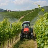 Frutteto 80 à 115 tracteur agricole - same - puissance max 80:1500 tr/min_2