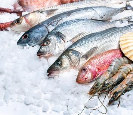 Machine à glaçons en grains - paillettes 100 kg - gaz écologique r290_2