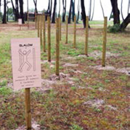 Parcours de santé en bois - 9 agrès certifiés PEFC en pin rouge traité autoclave_2