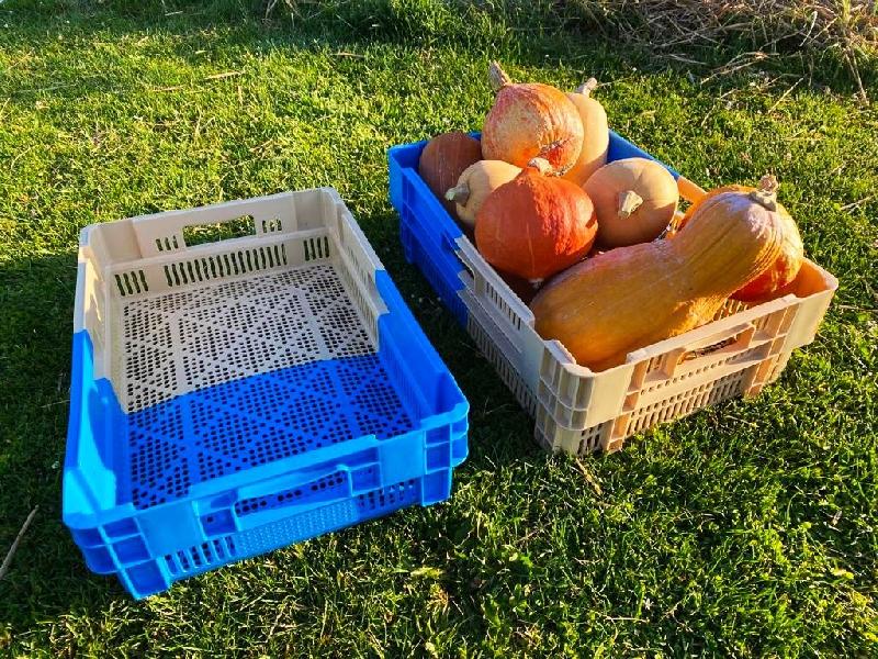 Bac ajouré emboitable de récolte - 25L, 20kg - Polyéthylène haute densité_2