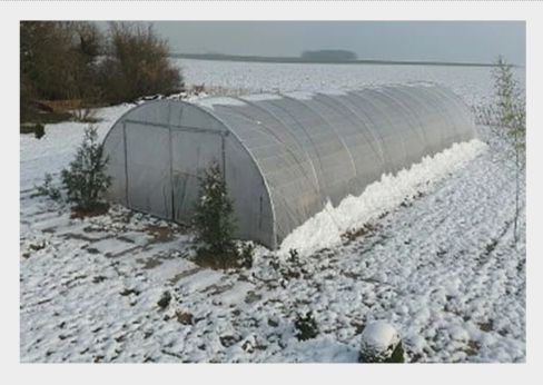Serre tunnel maraîchère professionnelle à bâche enterrée - Longueur 6 m - TMC60010_2